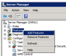 Figure 3-2. Selecting the SMTP Server feature 