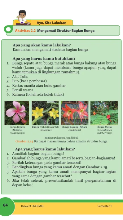 Gambar 2.14 Berbagai macam bunga bahan amatan struktur bunga