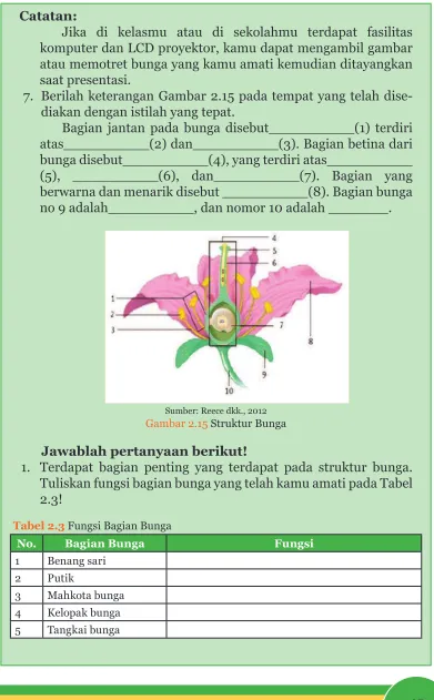 Gambar 2.15 Struktur Bunga