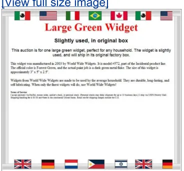 Figure 2.12. eBay's Flags theme.