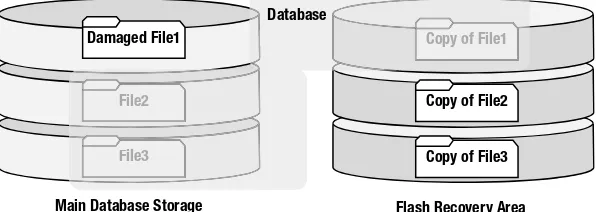 Figure 3-2. Presence of image copies in the fast recovery area