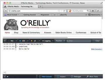 Figure 2-3. Firefox JavaScript console