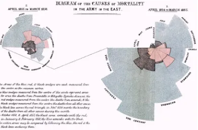 Figure 1-9. Florence Nightingale and William Farr’s Diagram of the Causes of Mortality in the Army in the East