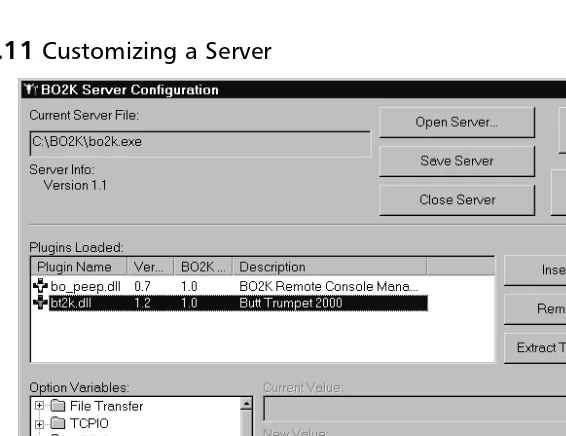 Figure 3.11 Customizing a Server