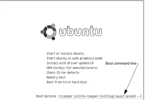 Figure 3-16 Initial install screen,  F6  boot command line