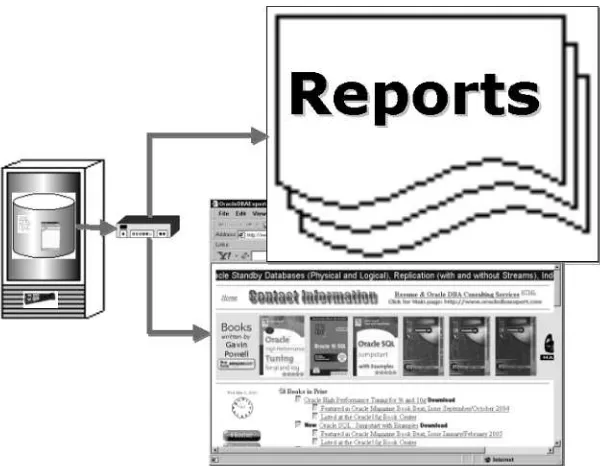 Figure 1-2 shows the same image as in Figure 1-1, except that in Figure 1-2, the reporting and onlinebrowser applications are made more prominent