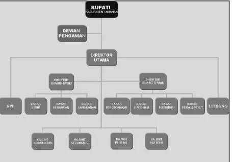 Gambar 10.4 Struktur Organisasi DAM Kabupaten Tabanan 