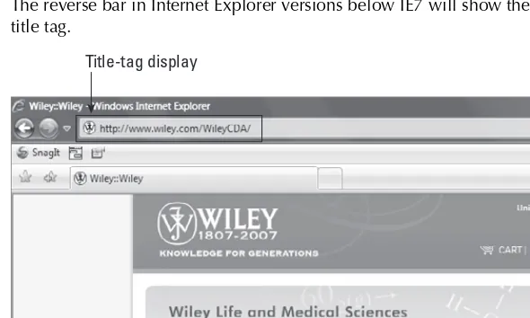 FIGURE  3-1The reverse bar in Internet Explorer versions below IE7 will show the title that you’ve entered in the HTML