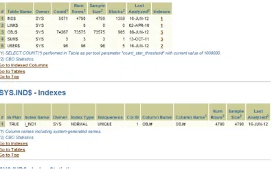 Figure 1-2. The Indexes section of the report