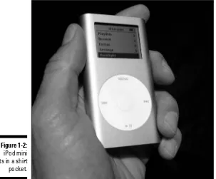 Figure 1-2:iPod mini