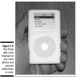 Figure 1-3:The iPods