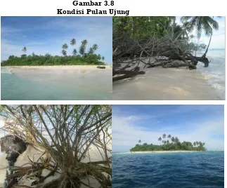 Gambar 3.8 Kondisi Pulau Ujung 