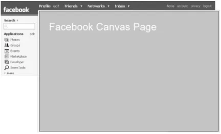 Figure 2-3. The Facebook canvas page
