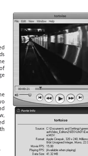Figure 1-1. The sample video is opened in QuickTime, and the Movie Info window is displayed.