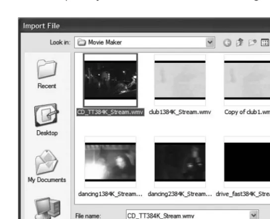 Figure 2-3. Clips are imported into Movie Maker.