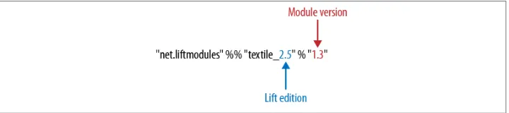 Figure 2-1. The structure of a module version