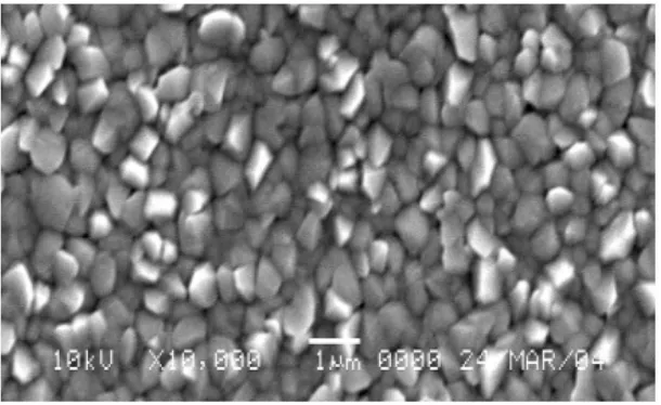Gambar 6.  Struktur mikro permukaan lapisan ZnO yang terbentuk pada suhu 250 oC dan waktu deposisi selama 1 jam dan dengan perbesaran 10000 kali