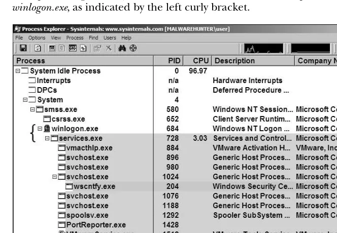 Figure 3-5: Process Explorer examining svchost.exe malware
