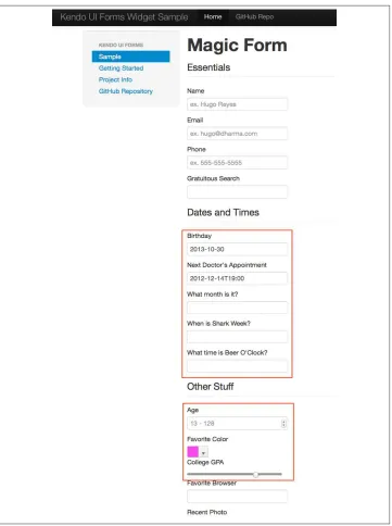 Figure 3-3. Sample form as viewed in Safari 6.1
