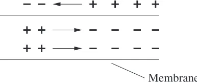 Fig. 2.5. Uniform excitation propagation