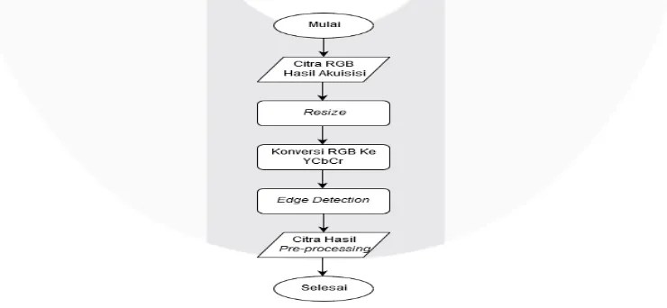 Gambar 3. Diagram Alir Pre-processing 
