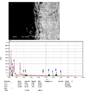 Gambar 5.   Tampang lintang mikrograf SEM-EDAX dari cuplikan SS 316 L setelah nitridasi ion pada suhu nitridasi 500 oC, waktu nitridasi 3 jam dan tekanan gas nitrogen 1,6 mbar