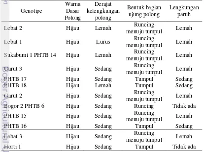 Tabel 3 Penampilan karakter kualitatif polong buncis yang diuji 