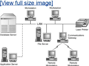 Figure 1.3. In simplest form, a standardclient/server environment connects workstations,