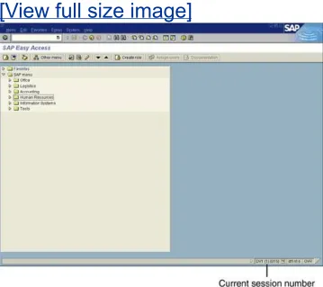 Figure 2.7. The Overview of Sessions windowdisplays the number of open sessions and enables