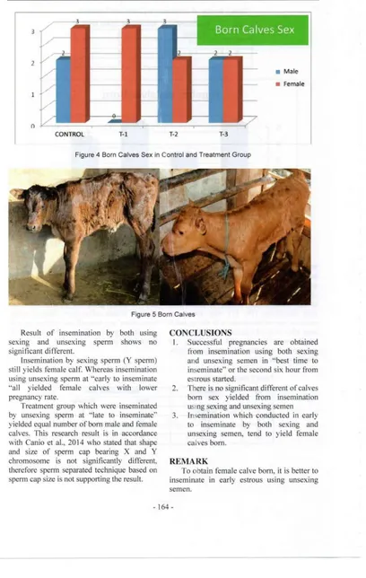 Figure 4 Born Calves Sex in Control and Treatment Group 