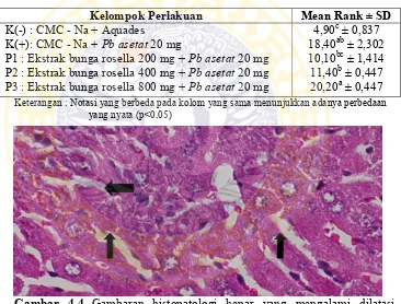 Gambar 4.4 Gambaran histopatologi hepar yang mengalami dilatasi sinusoid hepatosit pada kelompok perlakuan P1 (Pewarnaan HE pembesaran 400x dengan menggunakan Optilab) 
