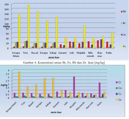 Gambar 4. Konsentrasi unsur Br, Fe, Rb dan Zn  ikan [mg/kg]