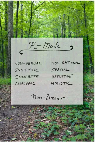 Figure 3.5: R-mode attributes