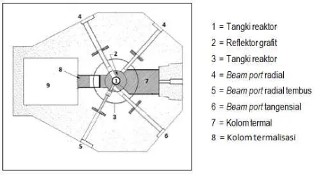 Gambar 1. Beberapa fasilitas irradiasi dan beam port pada reaktor Kartini. 
