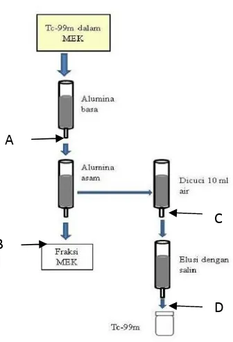 Gambar 2.  % AktivitMEK dari kolomKeterangan :DP = kolom kromatografperlakuan HNO3 0,1 NTP = kolom kromatografitanpaperlakuan HNO3 0ivitas 99mTc hasil elusim alumina asamrafi alumina asam denganrafi alumina asam 0,1 N