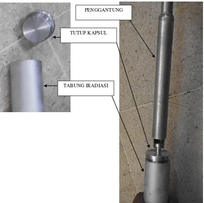 Gambar 6. Tabung Iradiasi Topaz incore dengan tutup 
