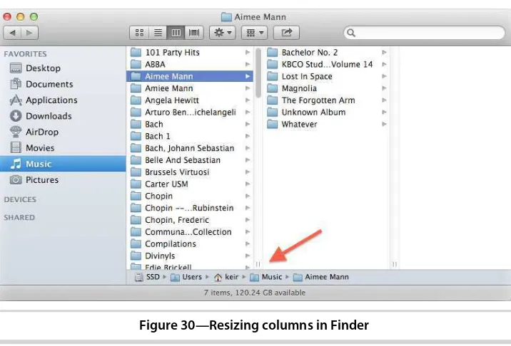 Figure 30—Resizing columns in Finder