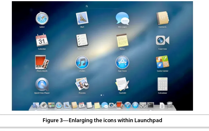 Figure 3—Enlarging the icons within Launchpad