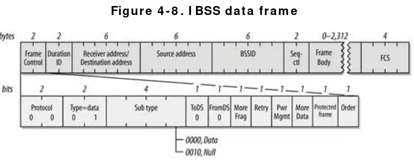 Figure 4 -8 . I BSS data fram e