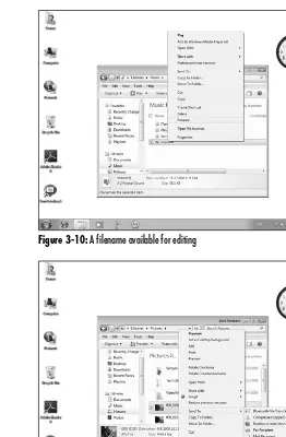 Figure 3-10: A filename available for editing