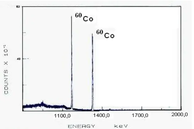 Gambar 2. Spektrum 60Co pada energi  1173,24 keV dan 1173,24 keV 