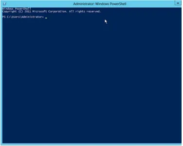 Figure 2.2The standard PowerShell console window: PowerShell.exe