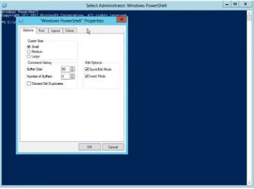 Figure 2.3Configuring the console application’s properties