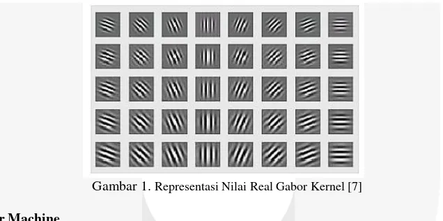 Gambar 1. Representasi Nilai Real Gabor Kernel [7] 
