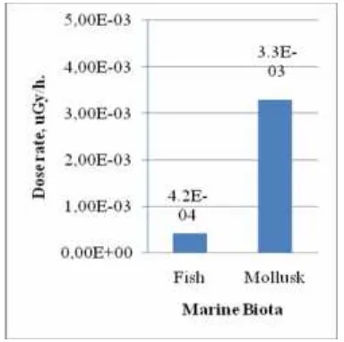 Figure 3. Internal dose rate from natural radio-nuclides and 137Cs in sea water to thefish and mollusk.
