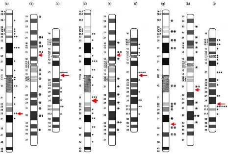 Fig. 4. Breakpoint positions in chromosome 1 at doses of (a) 1 Gy; (d) 3 Gy; and (g) 5 Gy; chromosome 2 at doses of (b) 1 Gy;            (e) 3 Gy; and (h) 5 Gy; and chromosome 4 at doses of (c) 1 Gy; (f) 3 Gy; and (i) 5 Gy