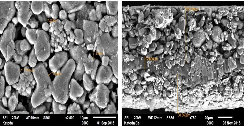 Gambar 4. Struktur mikro permukaan bahan katoda Al 