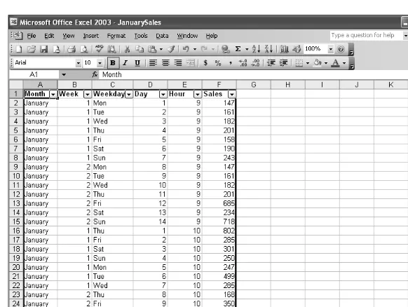 Figure 1-2. Data lists enhance your ability to create and display data collections in Excel 2003