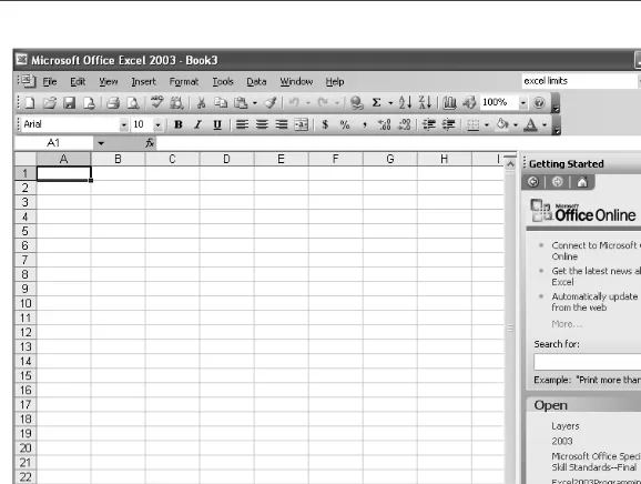 Figure 2-4. The Excel interface offers quick access to the program’s diverse capabilities