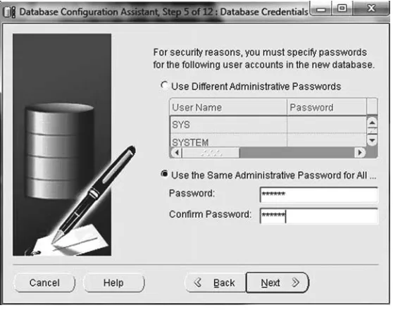 Figure 2.9Options for setting passwords.